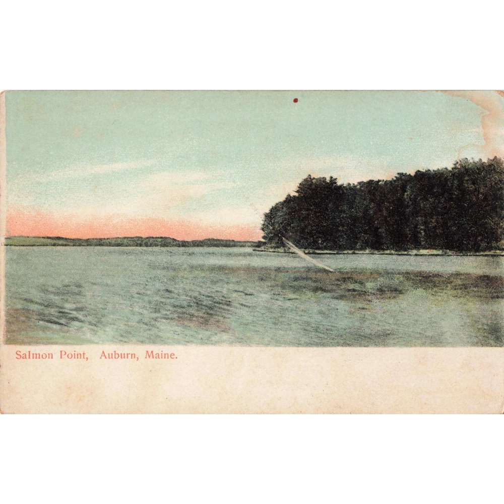 Auburn Maine ME Postcard Salmon Point Lake View Landscape c1910 Antique